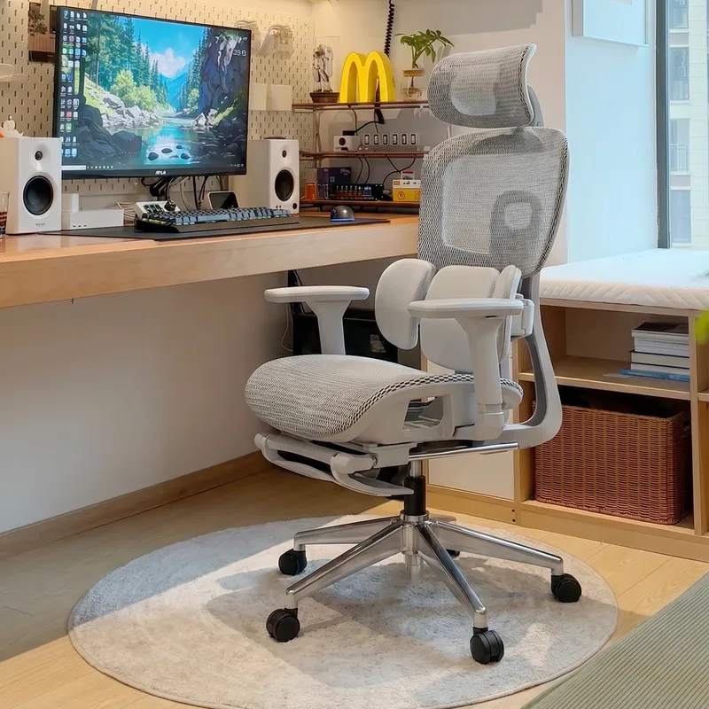 Ergonomic Office Chair with Lu - Home Office Desk review and price