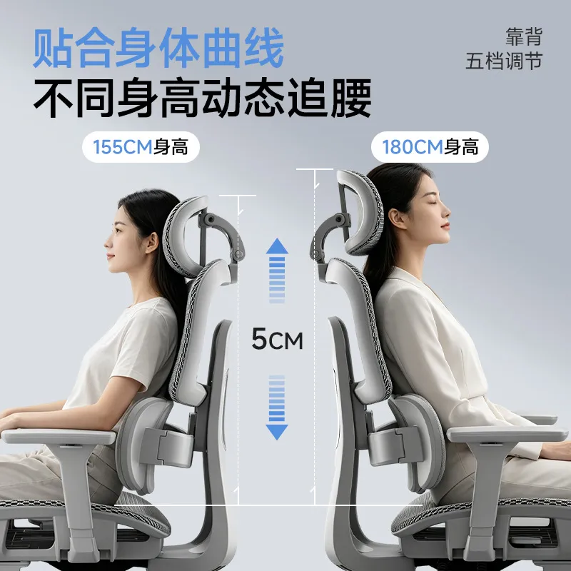 Ergonomic Office Chair with Lu - Home Office Desk review and price