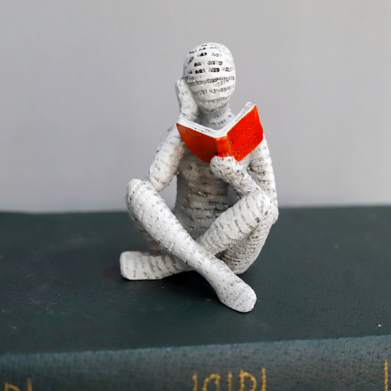 1Pc, Reading Paper Pulp Woman  - Home Office With Bookshelves review and price