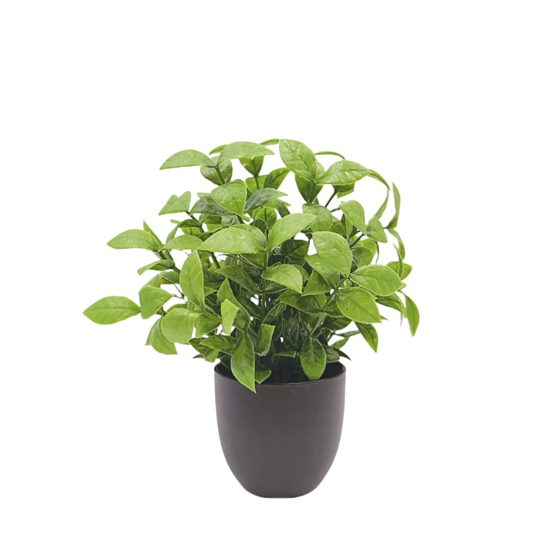 Simulation Green Plant Bonsai  - Home Office Simulator review and price